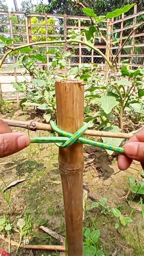 Most Practical Knot You’ll Ever Learn!