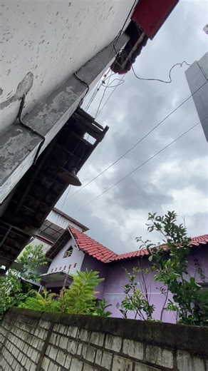 Cara Servis Pingpong untuk Pemula: Panduan Lengkap