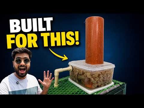 DIY Monster Tank Filter Setup Explained