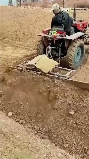 "Old Master Skillfully Operating Small Tractor to Level the Land"