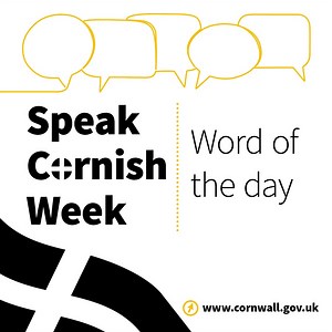 2.5K views · 12 reactions | ️ Throughout Speak Cornish Week, we’re celebrating the Cornish language - Kernewek - with a seaside twist! Today’s word of the day is kastel tewes, which means sandcastle.  Why not try it out next time you're at the beach? | Cornwall Council | Facebook