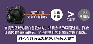 从入门到精通尼康微单Z9，9大步骤教你快速入门相机使用！