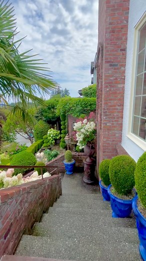 Plant Lover on Instagram: "Hydrangea – a classic beauty every garden should have! I grow wide varieties, but my two favourites are Annabelle and Phantom. In this video, I’m showing my gorgeous standard Phantom hydrangeas under the palm tree, white Bobo hydrangeas in the cast iron urn, tall Quick Fire standard next to the fountain, Fairytrail Bride, Annabelle and hydrangea Twenty-One at the end of the video. All of them are in the containers. My Phantom and Quick Fire have already changed colour