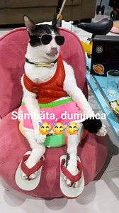 47K views · 650 reactions | Radio 1 Manele on Reels | Facebook