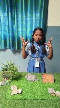 A Lion and a mouse story by 3rd std student