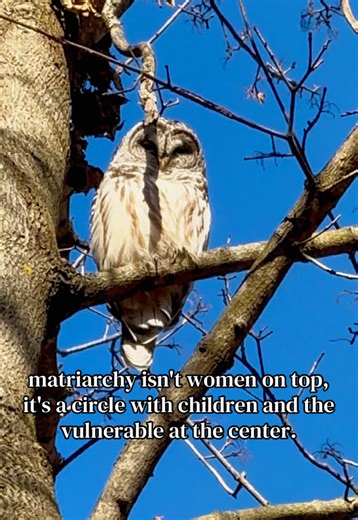 Understanding Matriarchy: A Circle of Care