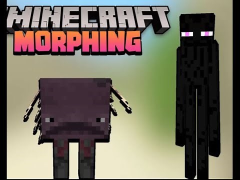 Minecraft morph datapack (showcase)