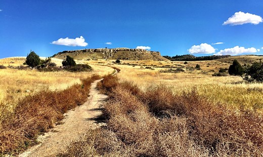 Madison Buffalo Jump State Park - Montana State Parks Foundation