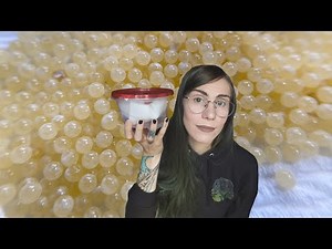 Trying to SAVE my TARANTULA'S EGGS!.. Opened too early