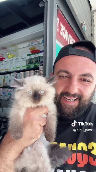 ‏#himalaian female#viralvideo #explore #petshop #foryoupage