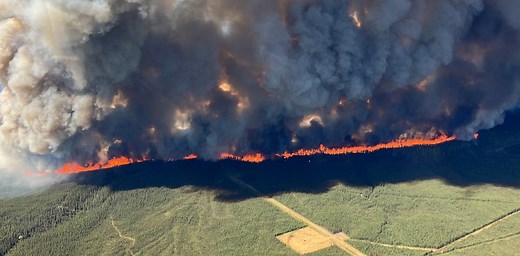 Predicting and planning for forest fires requires modelling of many complex, interrelated factors