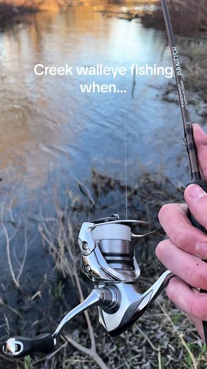 I know season isnt open in wisconsin but i wasnt targeting it #walleye #fyp #smallbusiness #bass #musky