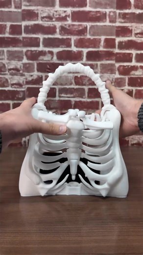 This 3D Print Went Viral! -BoneBag on Makerworld | 3D Printing Canada