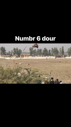 58K views · 1.4K reactions | Number 6 | Just Hunters | Facebook