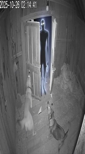 Alien Breaks Into Barn at 2 AM | Real CCTV Night Vision Footage