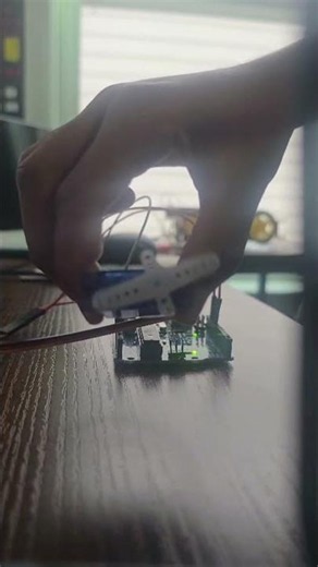 Servo Motor(real)