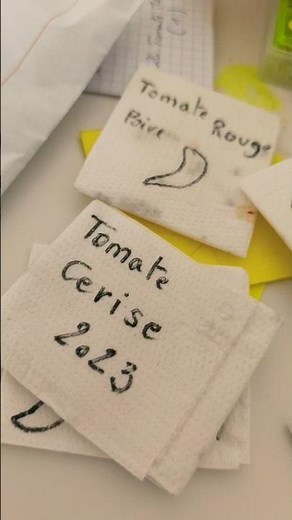 L'astuce SECRÈTE pour faire germer vos graines en 48h ! ⚡🌱