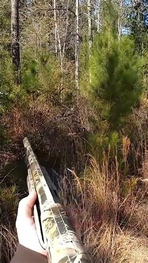 1. 🐗 Boar Hunting Shot in Russia | Real Wild Hunt Experience#boarhunting #russianhunting #wildboar