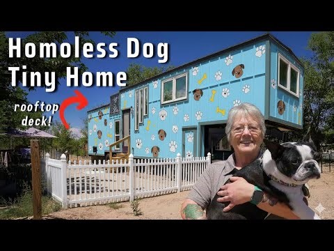 Why These Rescue Dogs Are Getting Their Own $20,000 Tiny Homes 🏡🐕