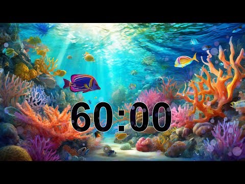 60 Minute Timer Under The Sea 🐟