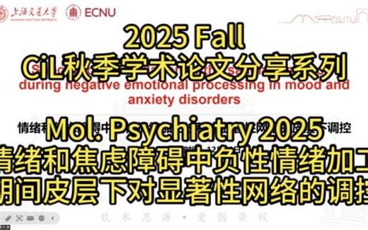 【227st】Molecular Psychiatry-情绪和焦虑障碍中负性情绪加工期间皮层下对显著性网络的调控