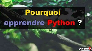 Pourquoi apprendre Python ? - WayToLearnX