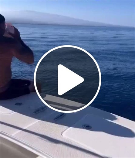 A man who blows into a conch shell in Hawaii gets a response he'll never forget! 🥹❤️ #man #conchshell #Hawaii #response - NewsBreak