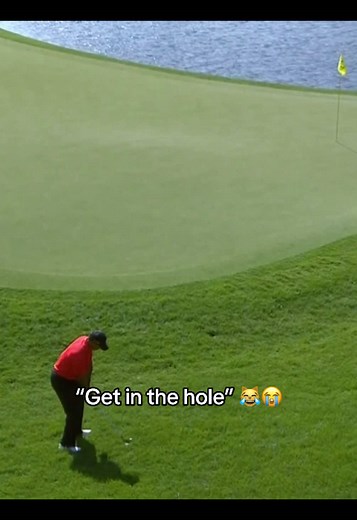 Just Tiger doing Tiger things 🐐👑 #golf #sports #giveaway #fyp #masters #pgatour #sport #pga #golftiktok #tigerwoods