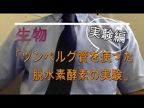 高校生物（専門）「ツンベルク管を使った脱水素酵素の実験」〜実験編〜