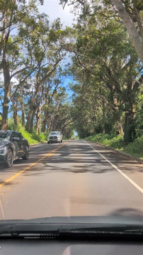 Tree Tunnel (ends in Koloa Town & Poipu's 10 Beaches)