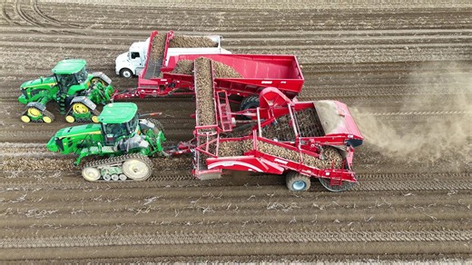 73K views · 654 reactions | Use the Crop Cart for continuous digging and efficient harvesting. #PotatoHarvest #SpudnkEquipment #Potato #CropCart | Spudnik Equipment Company, LLC | Facebook