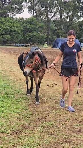 Rehab with Daisy 🌸❕️ With a new and improved saddle for her backs comfortably 🦄 She is such a gem ❕️ We love you daisy ❤️ Join our Hoofbeats family on: 📞 071 192 2722 / 067 818 7138 | Hoofbeats Equine Assisted Learning