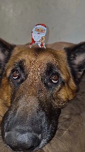 A Truly Scary Trend That I've Exploited More Than Once | LOL