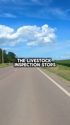 78K views · 1.1K reactions | The Texas Import Loophole How are...