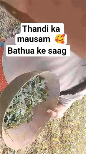 thandi ka mausam 🥰 bathua ke saag##mausam world ##mini vlogs ##gaao ka mausam ##gao ki duniya