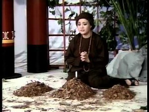 LAN và ĐIỆP_Nguyên Tuồng_Hương Lan & Chí Tâm