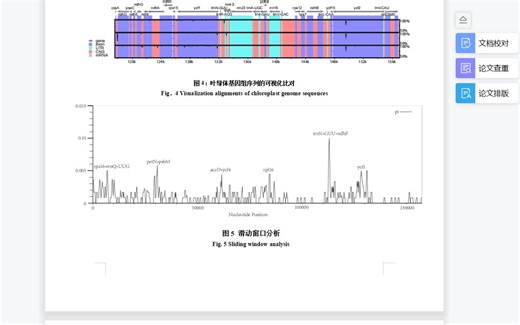 叶绿体基因组滑动窗口分析、核苷酸多态性分析、pi值计算及绘图