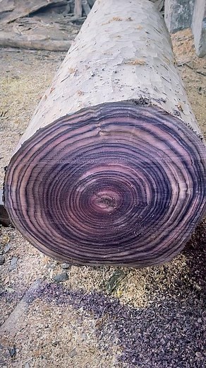 16K views · 1.2K reactions | Rosewood, one of the most unique and dense grains provided by an Indian origin tree. It is widely used for home decor, musical instruments, handlooms, veneer and so forth. #trendingreels #tik | cks_timbers | Facebook