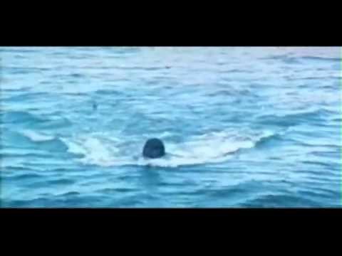 Godzilla vs Megalon Trailer (03/17/1973)