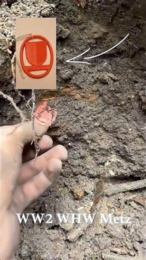 We Found A WW2 Winterhilfswerke Badge From Metz!