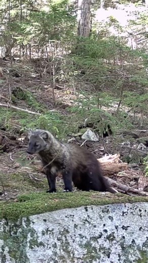 Young Fisher Listens to Bird Songs!