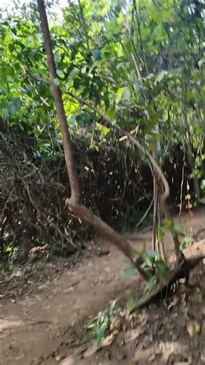 Baster new vlog. #minivlog #vlogger #vlog #trend #dailyvlog #new #fyp #foryou