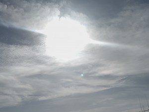 Dianna Williams on Reels