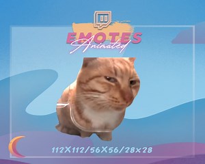 MR FRESH Cat Meme Emote: Animated Twitch/discord Stream Emote (digital Download) - Etsy