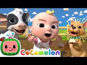Old MacDonald (Baby Animals Edition) | CoComelon Nursery Rhymes & Kids Songs | old macdonald chords