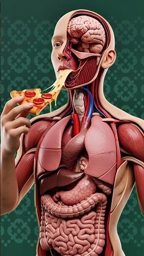 Eating excess pizza effects: Inside effects of body |Medical animation. #aivideo #science #ytshorts