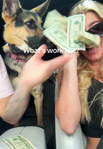 Insights Into Assistant Life: A Day in the Job