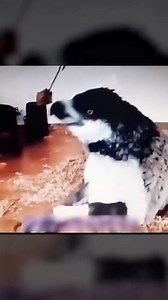 The Griffin is a legendary creature with the body, tail, and back legs of a lion; the head and wings of an eagle; and sometimes an eagle’s talons as its front feet. . . #mythology #ancientegypt #epicfantasy #history #museum #storys #videostory | Unanswered Univrs