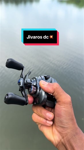 Jivaros DC Eupro Digital Control: High Speed Sound