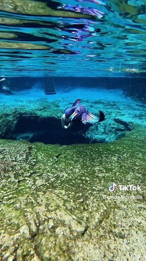 Have you ever wondered what lies below the surface? 💙 #mermaid #mermaiding #mermaidnyc #mermaidny #professionalmermaid #promermaid #mermaidpreformer #mermagic #mermaids #mermaidsighting #finfolkproductions #hireamermaid #nycentertainment #newyorkcity #mermaidtattoo #reallifemermaid #finfolk #finfolkmermaid #finfolktail #mermaidpod #mermaidsquad #newyorkmermaid #mermaidtail #mermaidtale #siliconetail #siliconemermaidtail #finfolkmermaid #podsquad #nyc